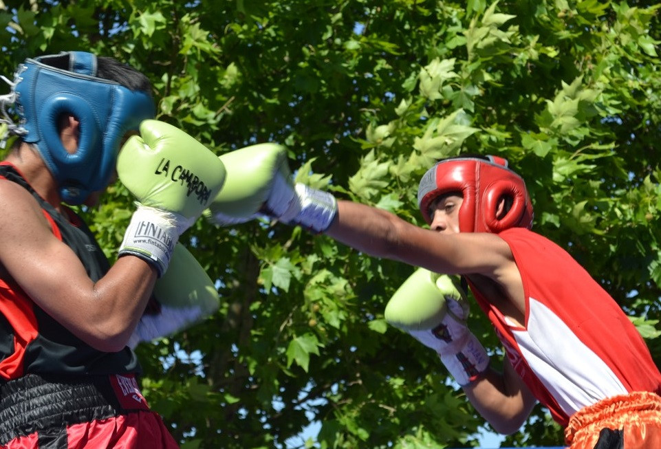 Torneo de Boxeo "Cinturón José Marí­a Gatica"