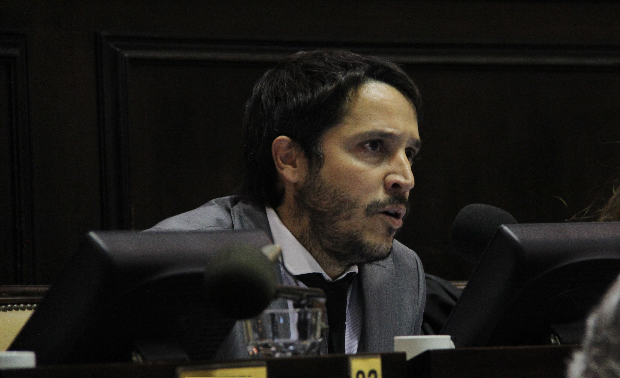 "Se endeudó a la provincia por un monto altí­simo sin especificar donde irán esos fondos"