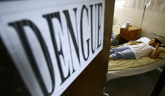 Epidemias en la Argentina de Macri: el dengue, el achicamiento del Estado y sus consecuencias