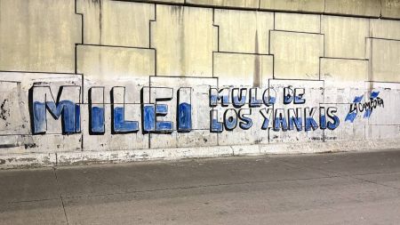Milei mulo de los yankis