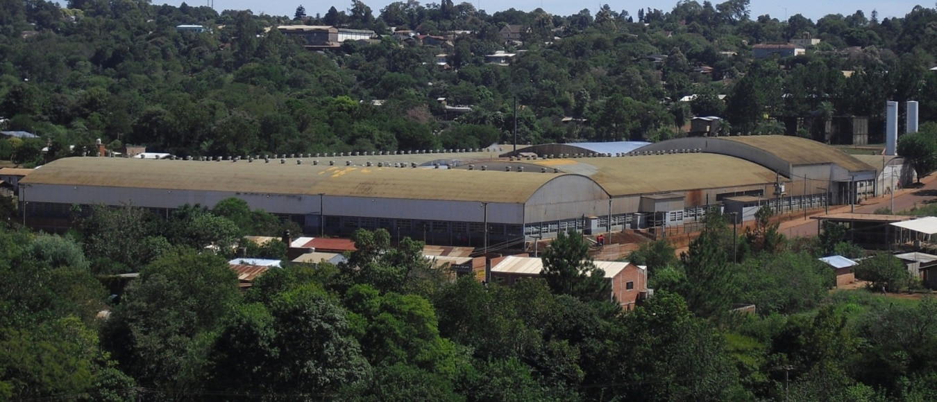 Impericia o premeditación