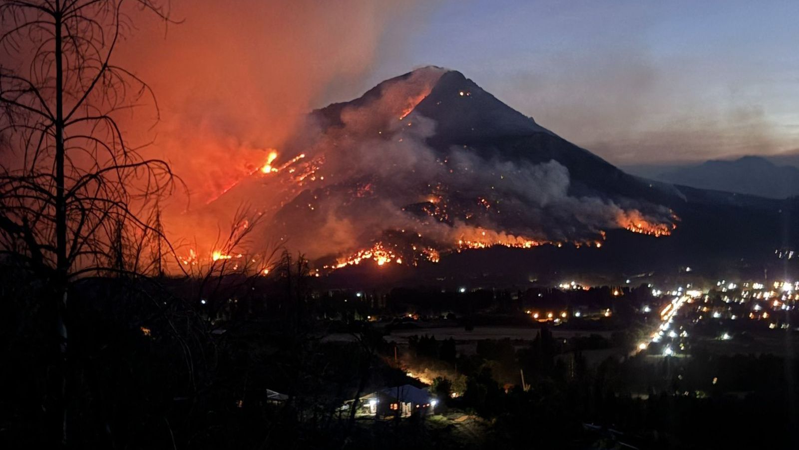 WhatsApp Image 2026 01 11 at 7.56.39 PM