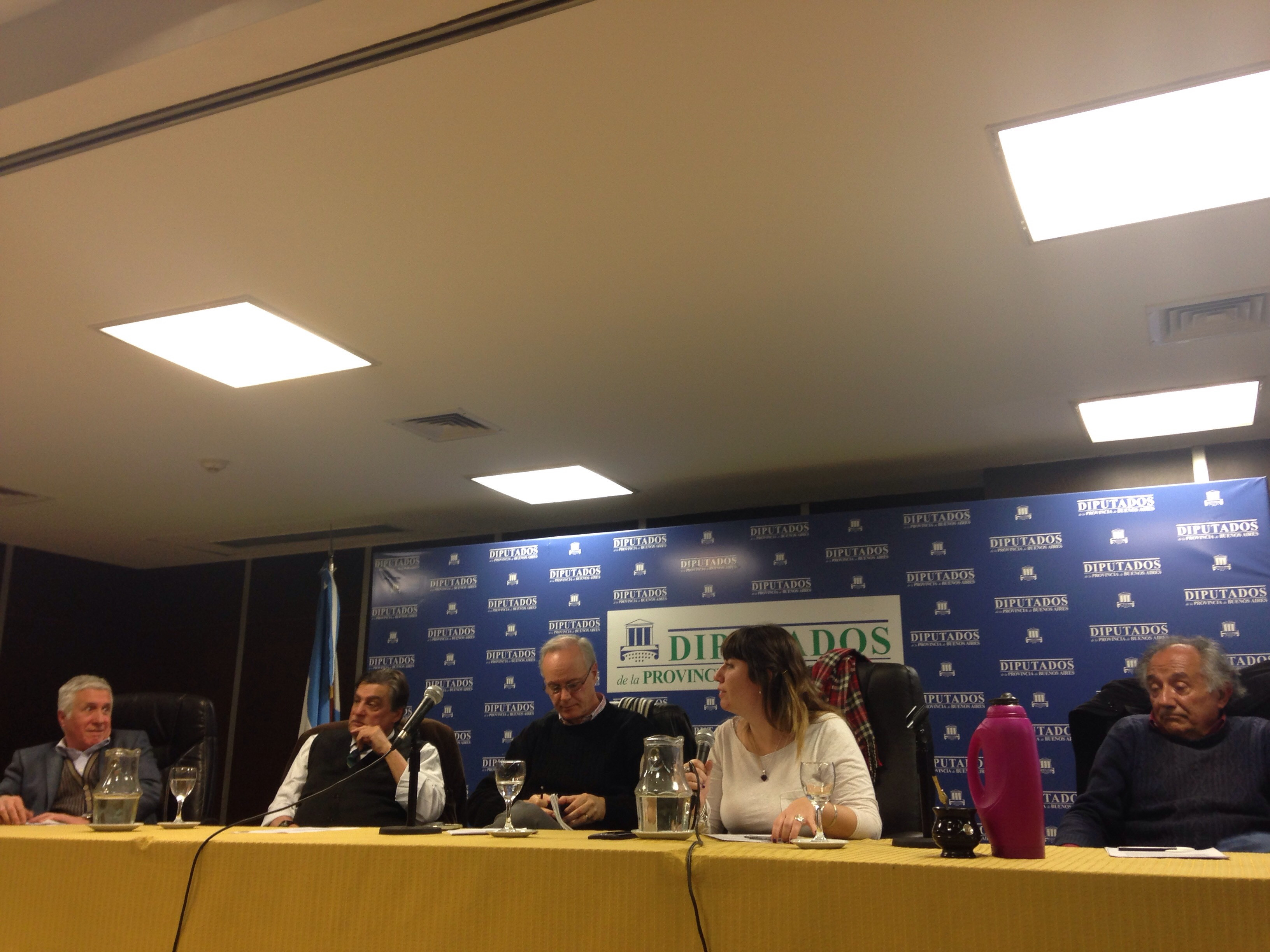 Proyecto para crear de consejos de salud en la provincia de Buenos Aires