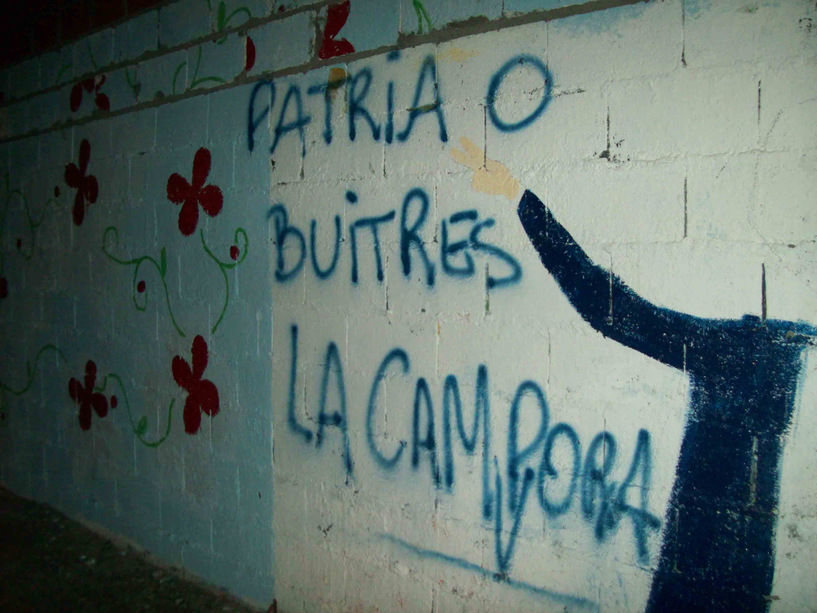 Pintadas en todo el paí­s: Patria o Buitres