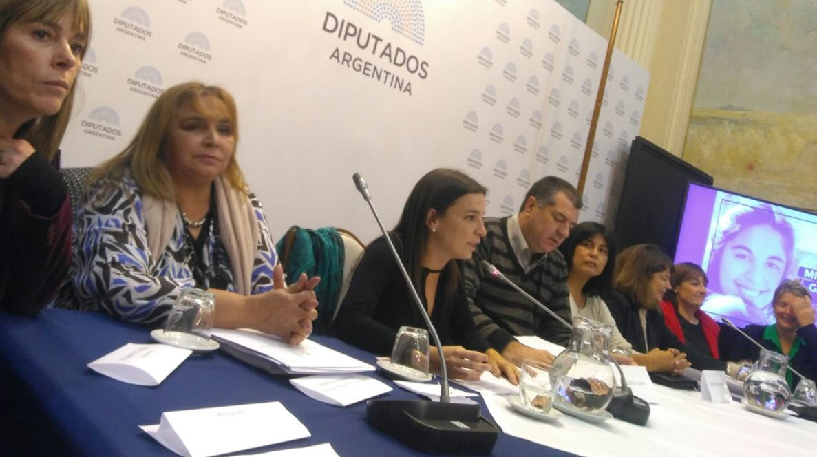 Se presentó el paquete de "Leyes Micaela"