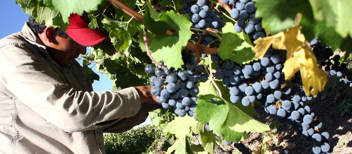 Derrumbando sueños ya cumplidos