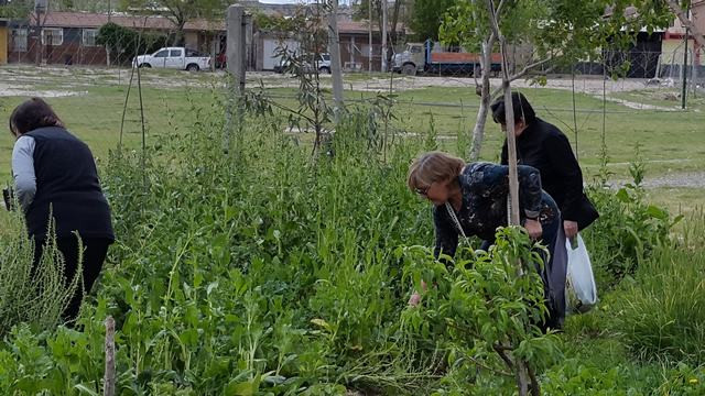 Jornada solidaria con Adultos Mayores 