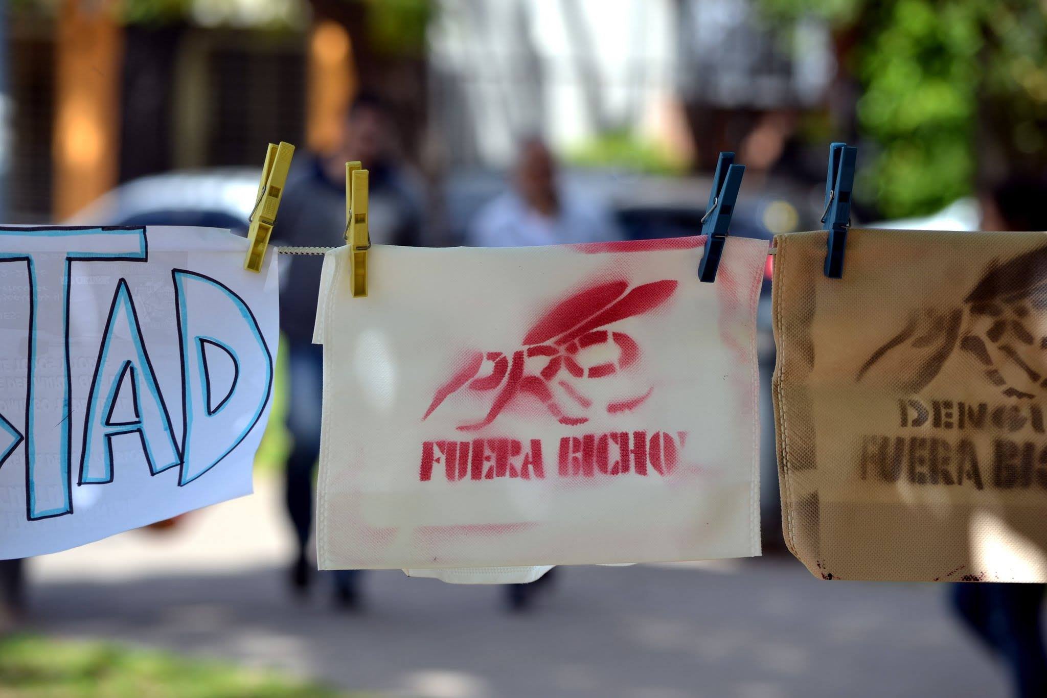 El mosquito ya no es una foto